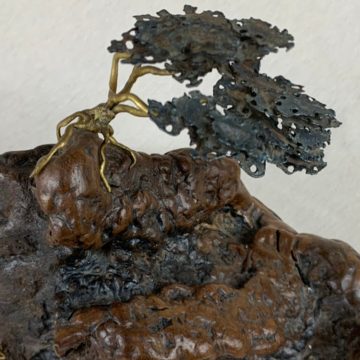 old bonsai object  01